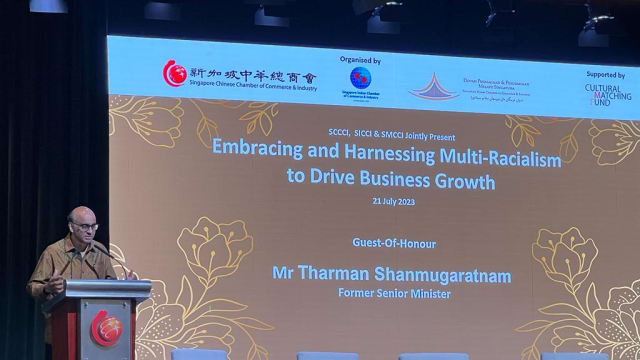 尚达曼：国人应积极参与各族文化 加深身份认同感