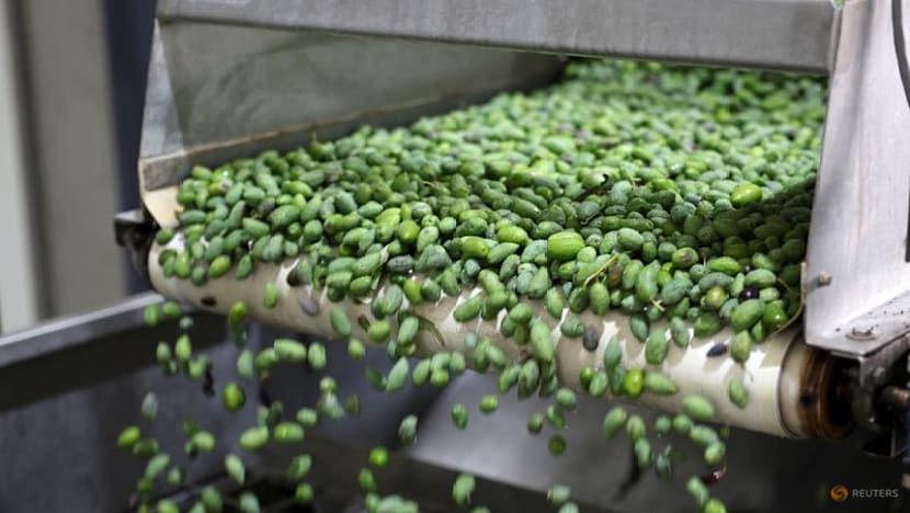 Olive oil with a kick seeks to energise Cypriot players