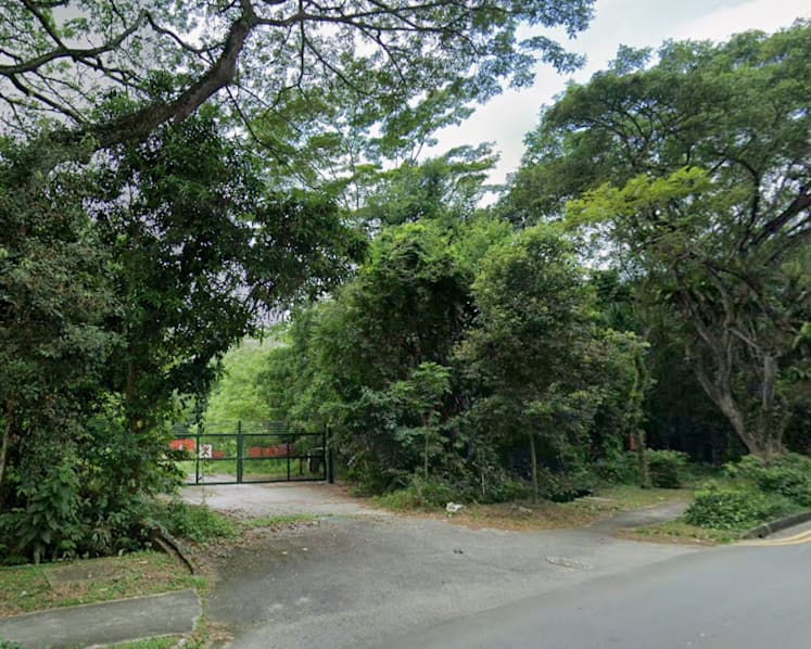 No current plans to designate Tagore forest as a nature reserve: Chee Hong Tat 
