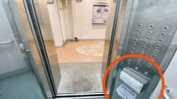 Related article image