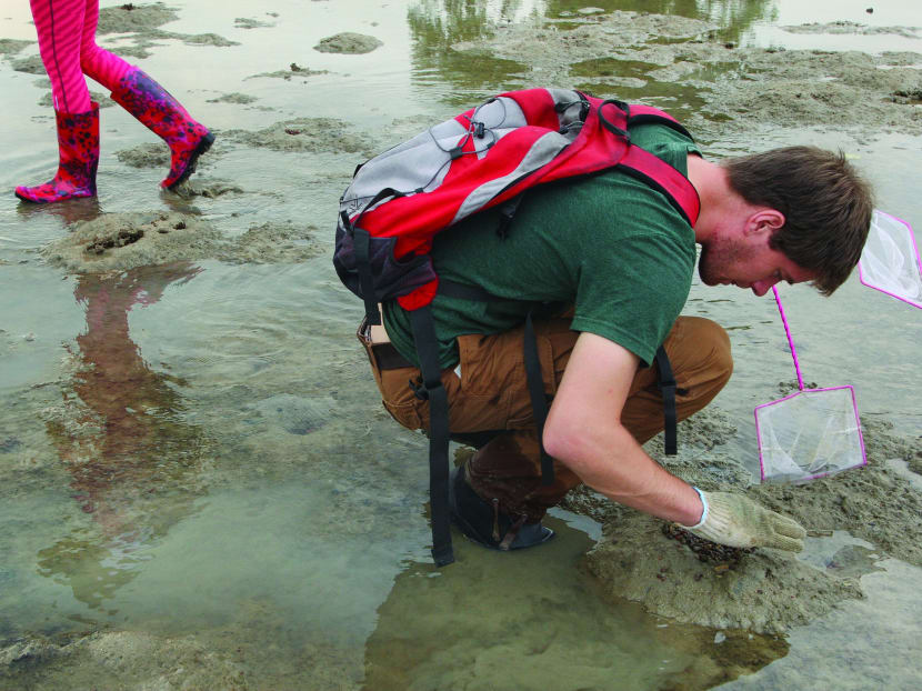 Searching the coast for marine life
