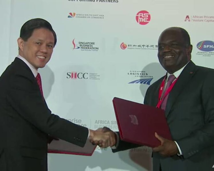 Singapore aims to be a gateway to Asia for African companies