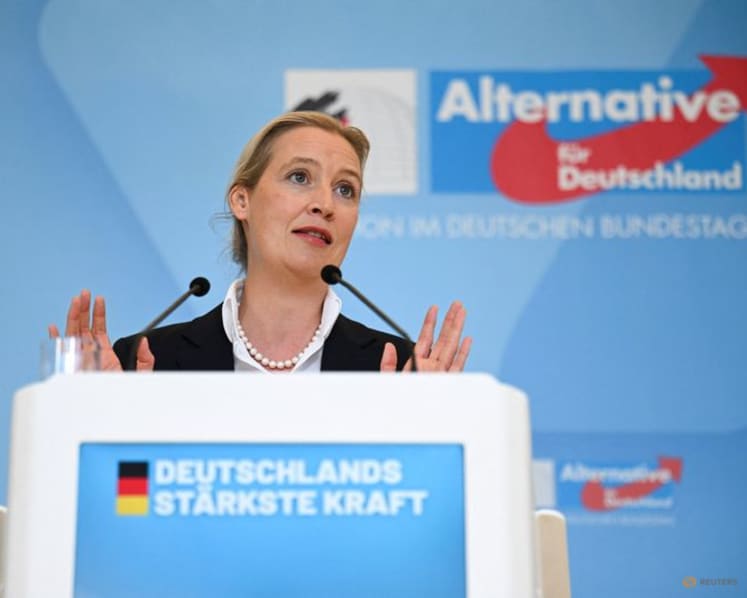 Germany's far-right AfD investigates publication of emails stolen in cyberattack