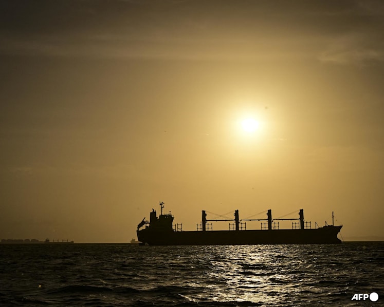 Tanker pays record US$5.3 million to transit Panama Canal: Administrator