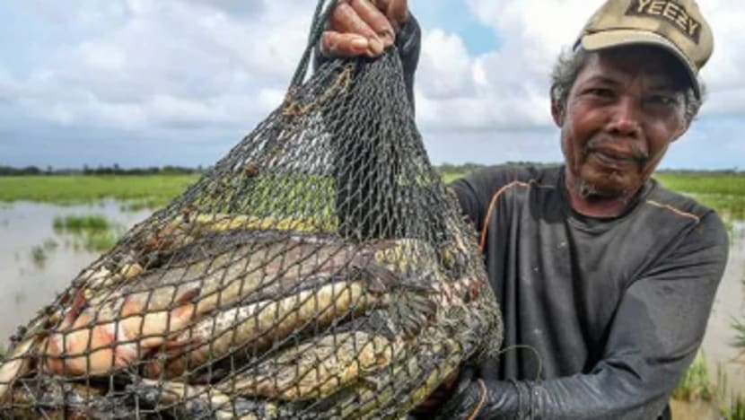 'Ilmu lubuk ikan' tambah pendapatan musim tengkujuh