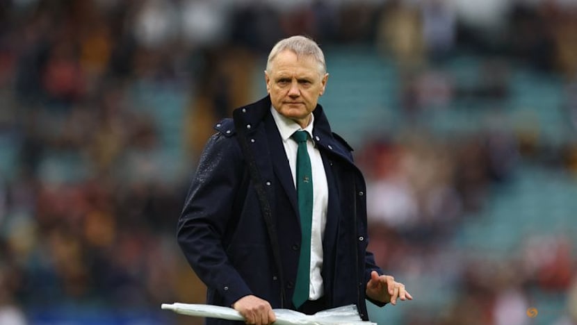 Wallabies coach Schmidt backs players despite Italy defeat