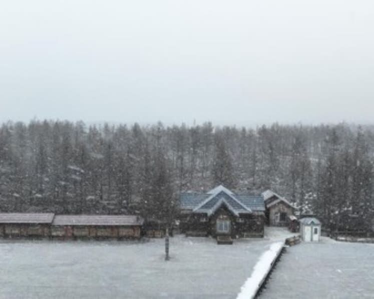 Ice, snow tourism boosts cultural exchanges between China, Russia