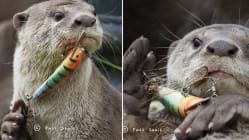 Related article image