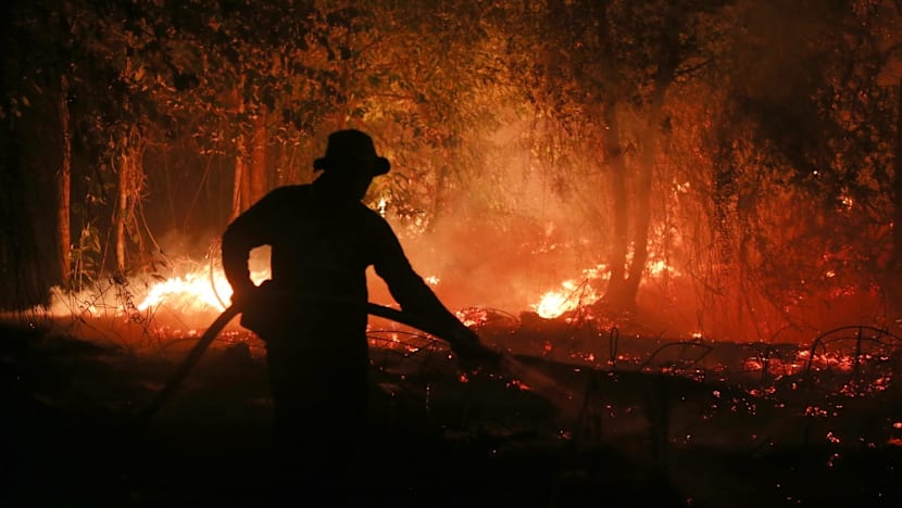 Singapore to send haze prevention notices to 7 companies in Indonesia responsible for fires