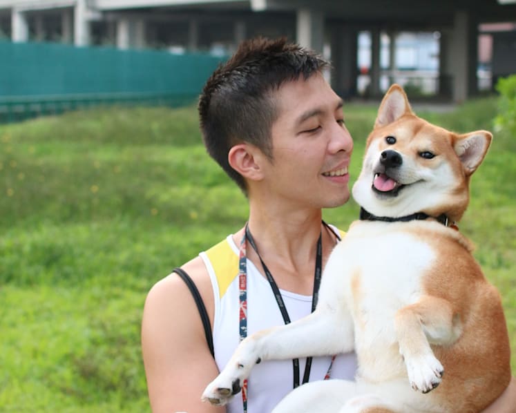 Don’t ban e-collars for dogs; educate owners or regulate use instead