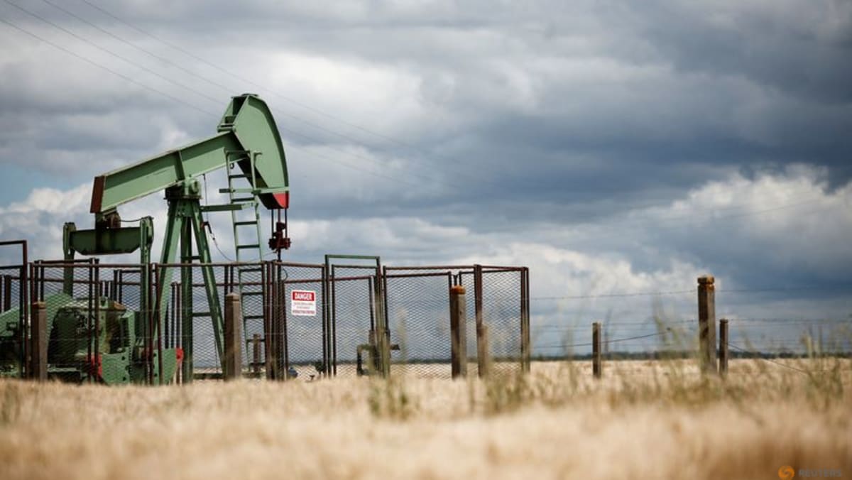 Oil steadies after falling to four-year lows in previous session - Channel News Asia (Picture 1)