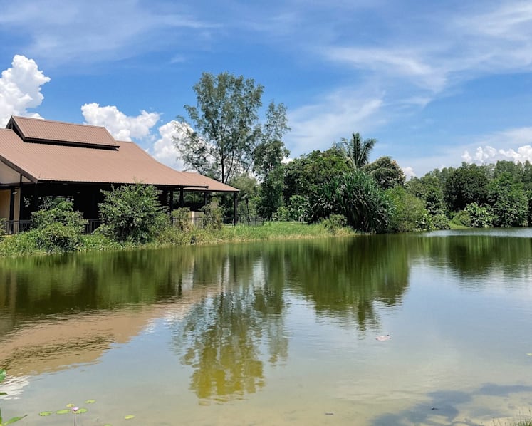 New nursery for coastal trees launched at Pulau Ubin as part of efforts to enhance habitats