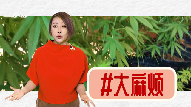 【多懂一点】年底旅游旺季  别惹出“大麻”烦