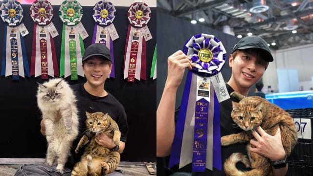爱猫参赛夺6奖　丘俊鑫：老爸我感动死了！