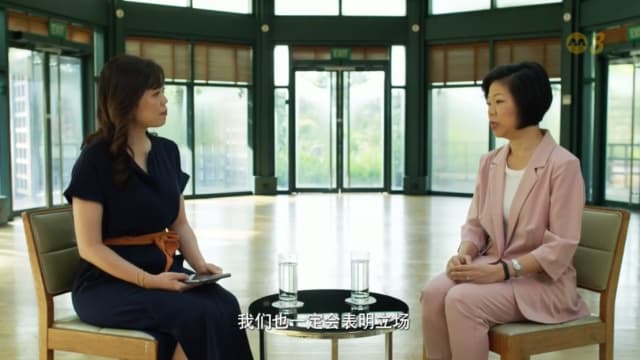 沈颖：我国外交政策关注国家长远利益 中立是展现出来的效果并非目标