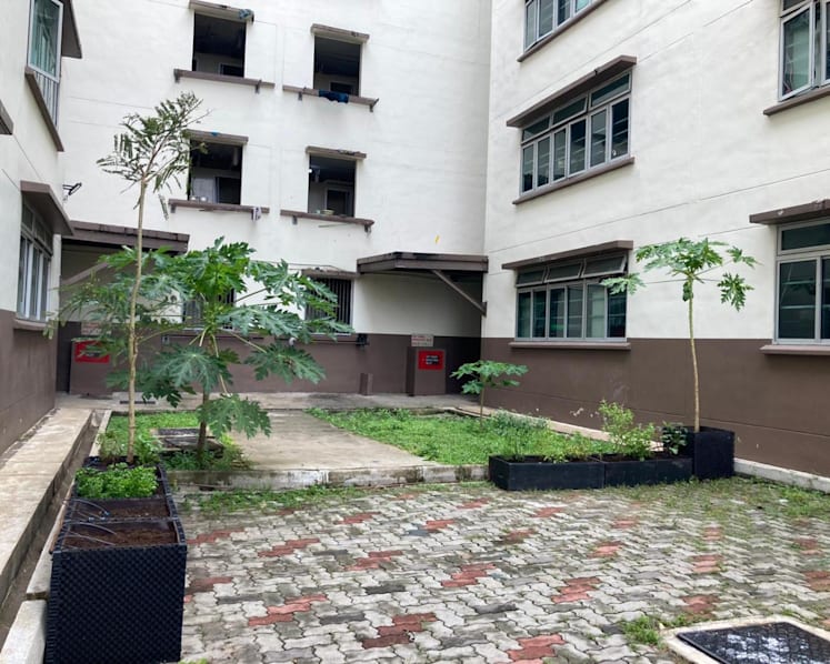 Edible garden in pre-schools, migrant worker domitories among 42 eco projects to receive funding