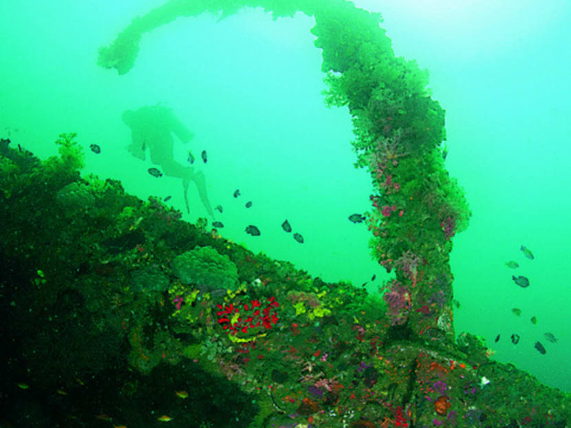 To the spice islands