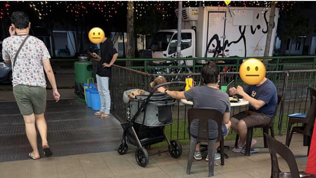 食客不满宠物狗出现在户外用餐区 网民：宠物狗坐推车远离人群不觉有问题