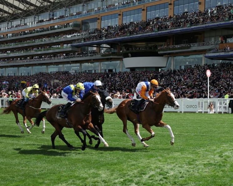 Horse racing - Shock 50-1 winner takes opening race at Royal Ascot