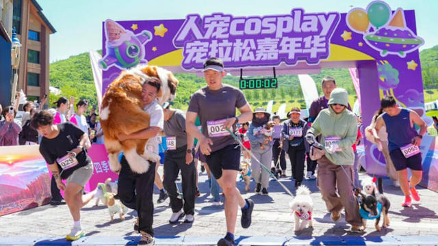 带着毛孩子去奔跑！吉林400多个家庭参加人宠宠拉松