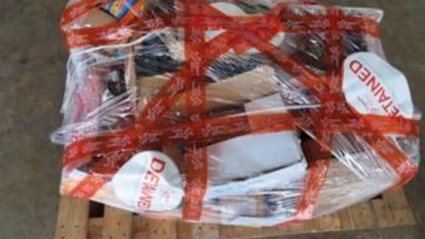 Woman, 41, fined and sentenced to 4 weeks' jail for illegally importing food, accusing SFA officer of molestation