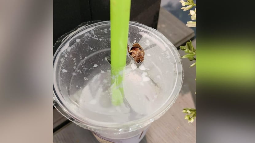 Mr Bean apologises for 'unhappy incident' after woman claims she found cockroach in soya drink; SFA looking into matter