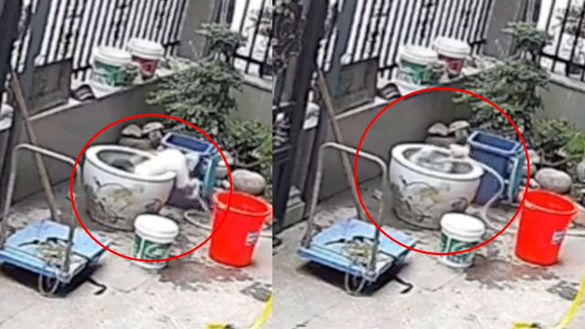 母亲刚进屋 19个月男童一头栽进水缸