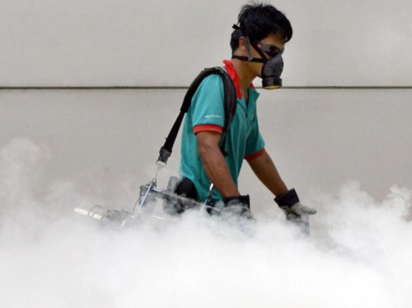 Commentary: Why is there another dengue outbreak in Singapore despite all our efforts?