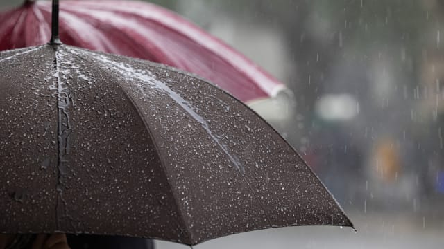 凉爽雨季将临 本地最低气温或达23度