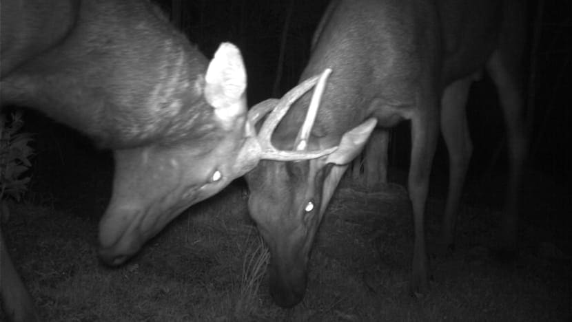 Related article image