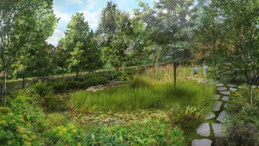 NParks to develop Singapore’s longest cross-island trail and 3 new recreational routes