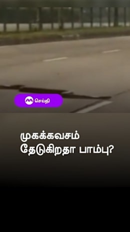 முகக்கவசம் தேடுகிறதா