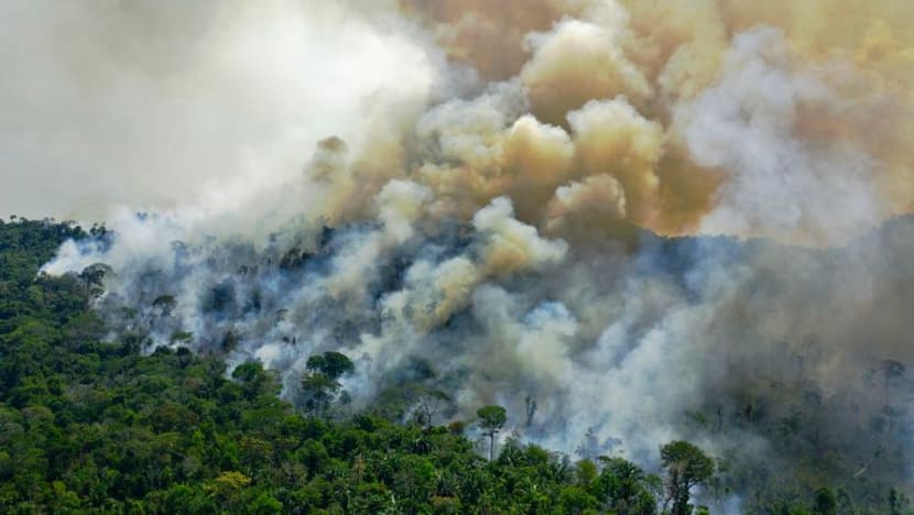 Indonesia tolak ikrar sifar pembasmian hutan COP26 sebagai 'tidak wajar, tidak adil' Indonesia tolak ikrar sifar pembasmian hutan COP26 sebagai 'tidak wajar, tidak adil'