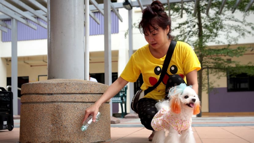 Nee Soon South residents reminded to clean up pets’ urine