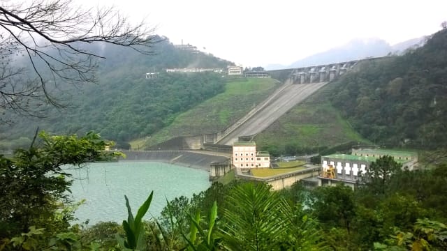 桃园：走过路过别错过