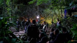 Related article image