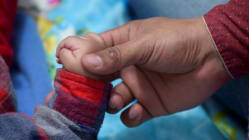Related article image