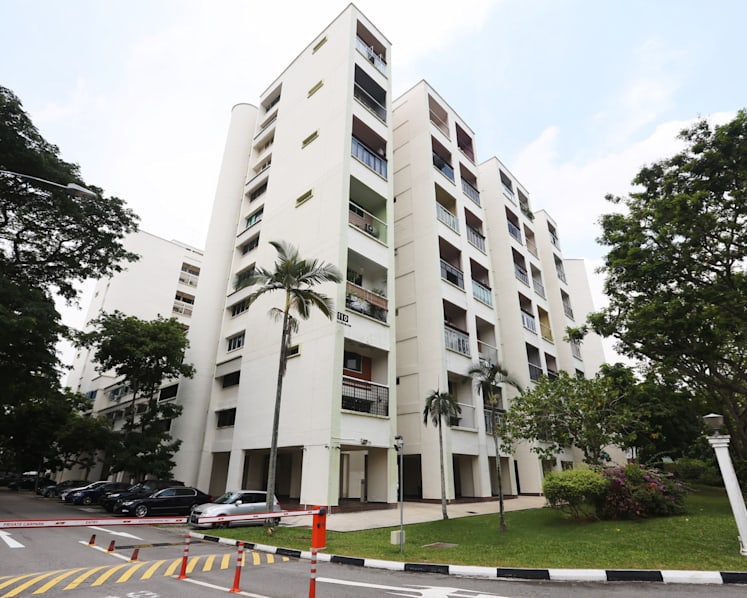 Raintree Gardens sold, taking total en bloc sales past S$1b in 2016