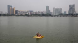 Related article image