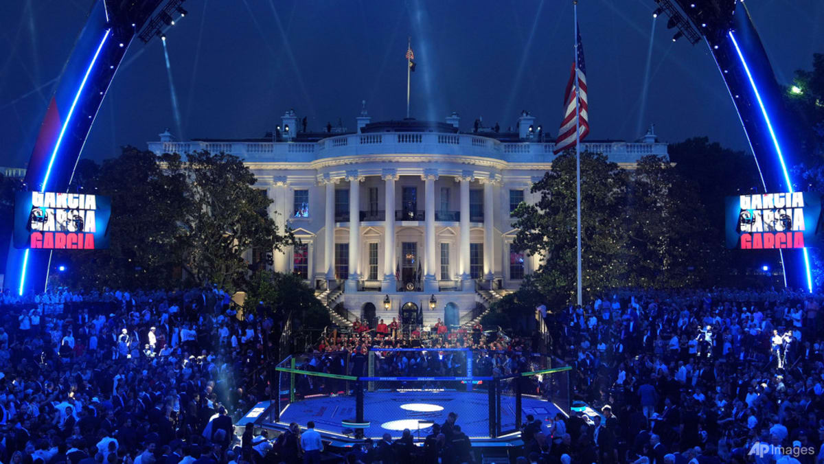 Murder, terror charges for suspects in Trump cage fight attack plot