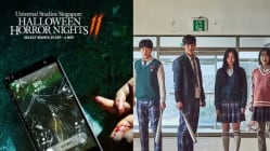 Related article image