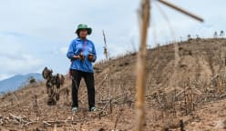 IN FOCUS: Insatiable global meat appetite leaves Thai farmland scarred, rural communities in the dust
