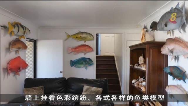 澳洲男子把鱼制成模型 让垂钓者展示辉煌战绩