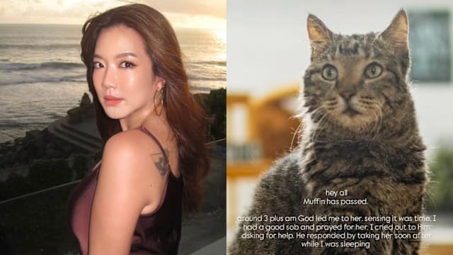 瑞恩领养的第1只爱猫逝世，感恩有机会道别