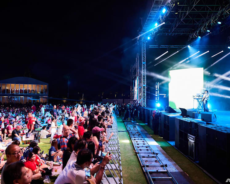 Here's what went down at the Gardens by the Bay and Mediacorp National Day Concert 2024