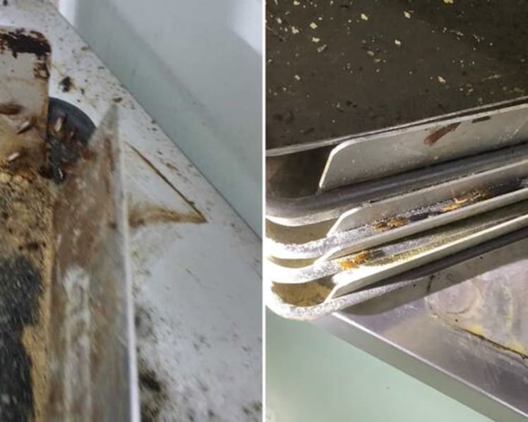 iBread fined S$7,000 for multiple hygiene lapses, including massive infestation of cockroaches