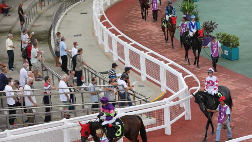 Exported, retrained or retired? 700 racehorses face uncertain fate after Singapore Turf Club closure