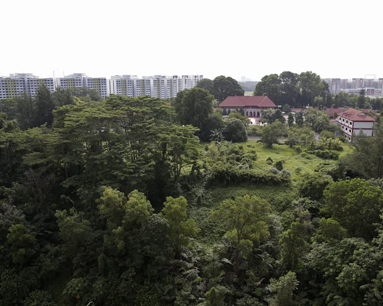 Preliminary launch of Sembawang integrated hub delayed by a year