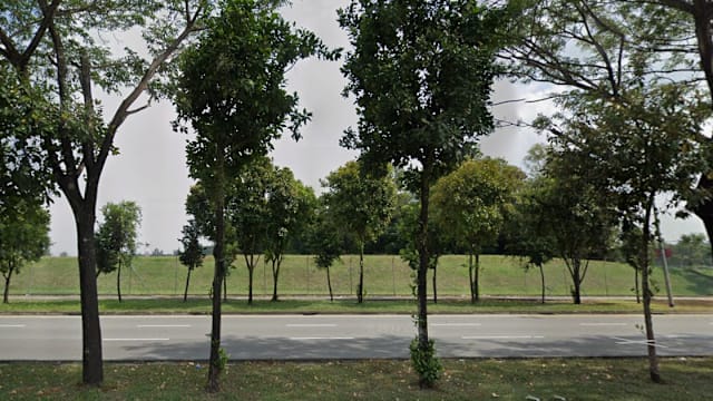实里达丛林有人擅用国有地种植 土管局贴告示要求清除