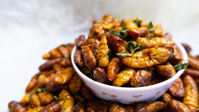 食品局将批准16种昆虫 作为食物出售